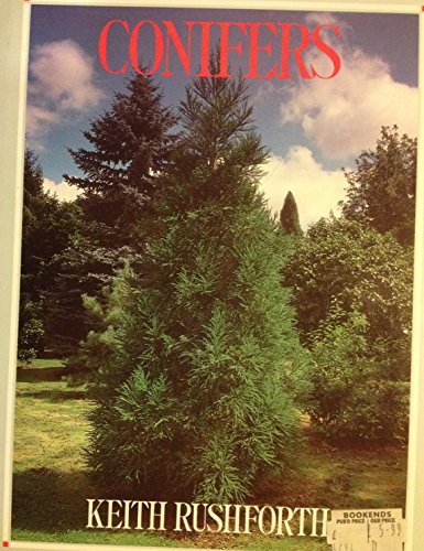 Conifers