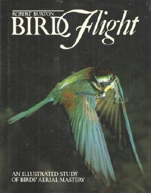 Bird Flight