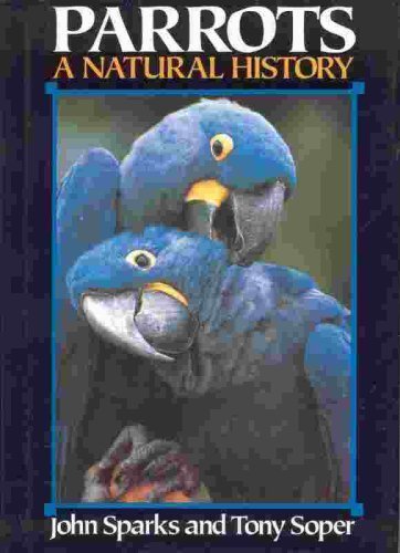 Parrots
