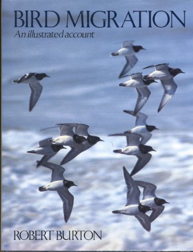 Bird Migration