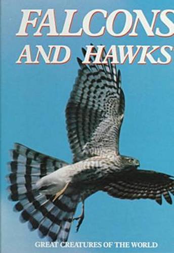 Falcons and Hawks (Great Creatures of the World)