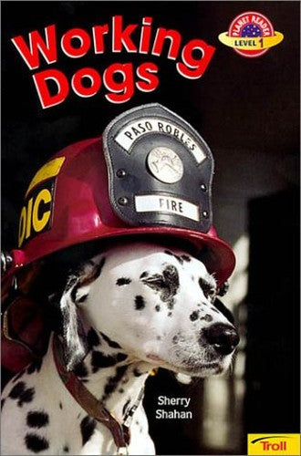 Working Dogs