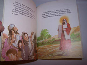 Moses in the Wilderness 