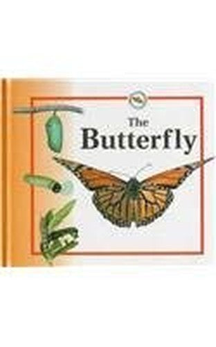The Butterfly