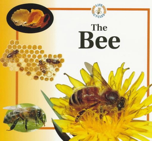 The Bee Life Cycles