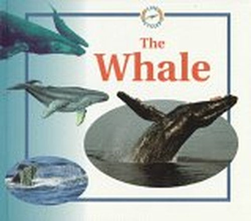 Whale