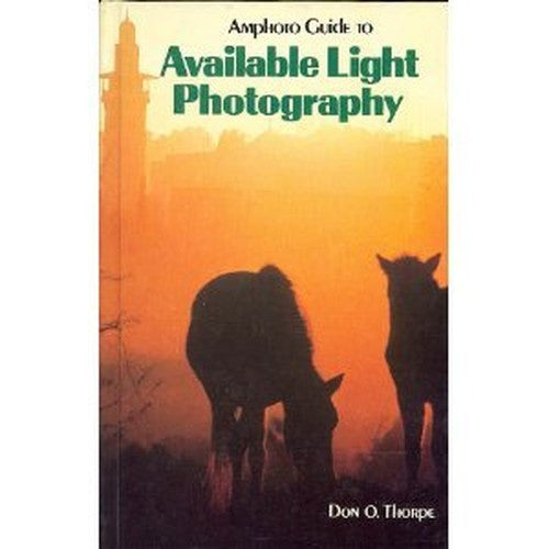 Amphoto guide to available light photography
