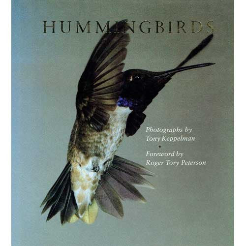 Hummingbirds