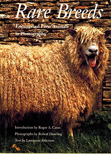 Rare Breeds