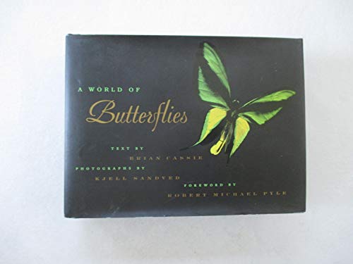A World Of Butterflies