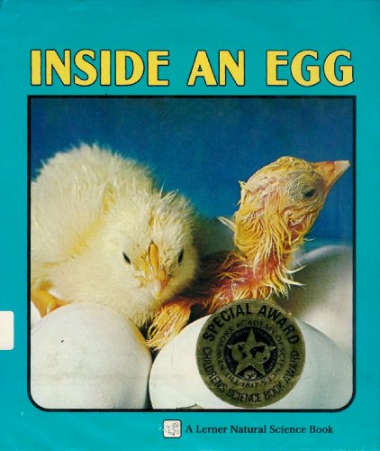 Inside An Egg