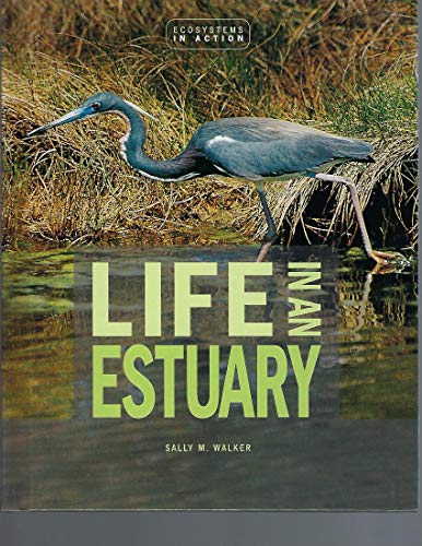 Life In An Estuary