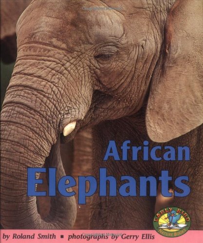African Elephants