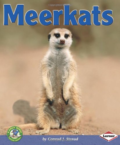 Meerkats