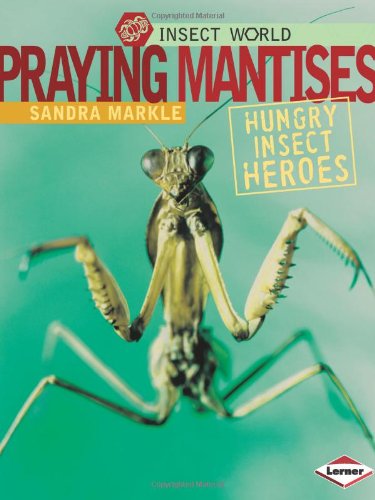 Praying Mantises