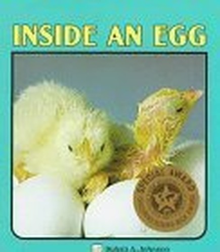Inside An Egg