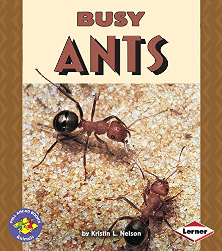 Busy Ants