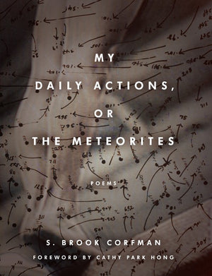My Daily Actions, or the Meteorites