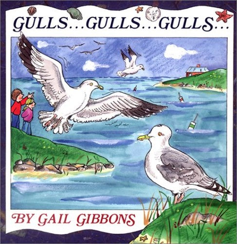 Gull Gulls Gulls