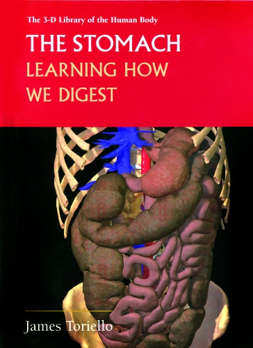 The Stomach