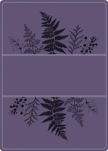 A Young Woman After God`s Own Heart Bible