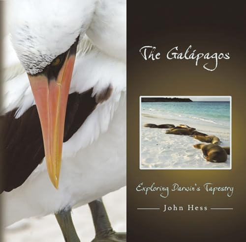 The Galapagos
