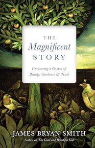 The Magnificent Story  Uncovering a Gospel of Beauty, Goodness, and Truth 