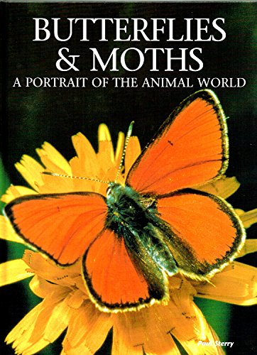 Butterflies and Moths