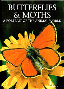 Butterflies and Moths 