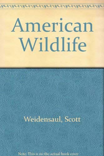 American Wildlife