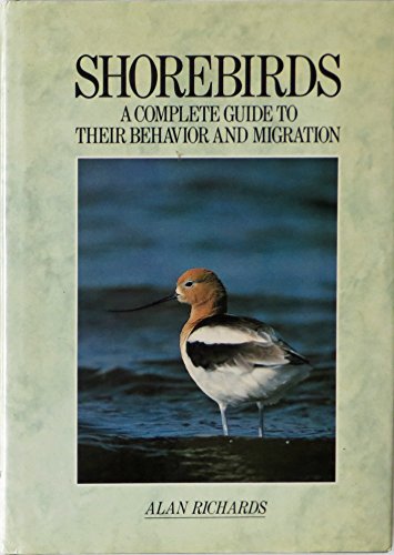 Shore Birds