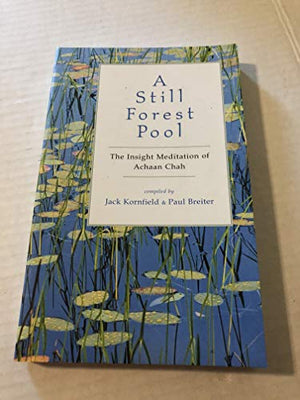 A Still Forest Pool