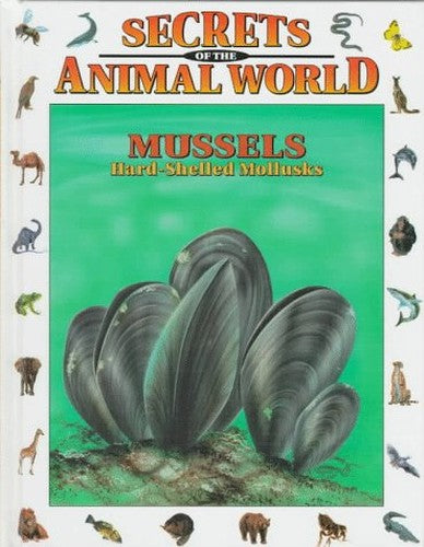 Mussels