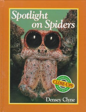 Spotlight on Spiders