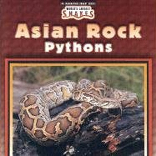 Asian Rock Pythons