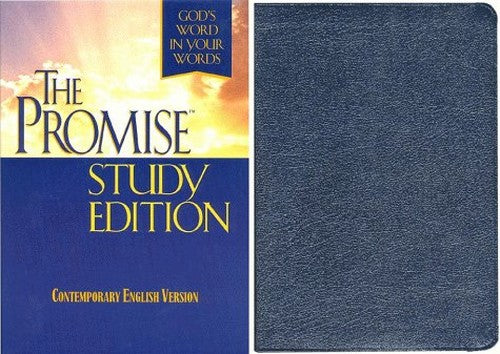 The Promise