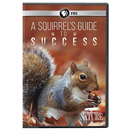 NATURE: A Squirrel's Guide to Success DVD