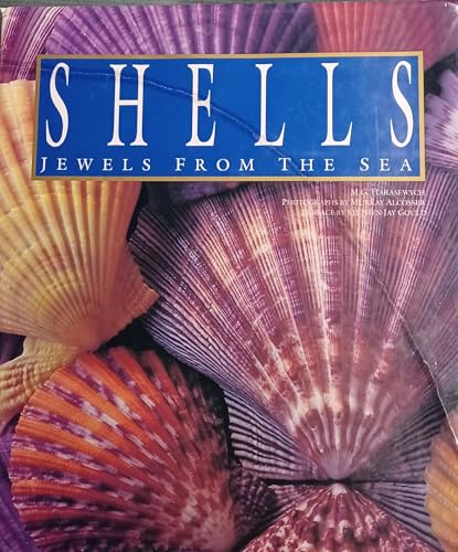 Shells