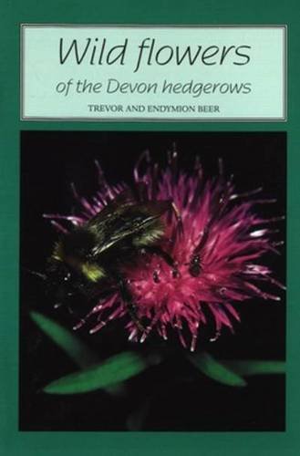 Wild Flowers of the Devon Hedgerows