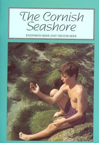 The Cornish Seashore