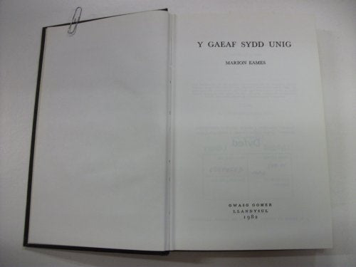 Gaeaf Sydd Unig, Y