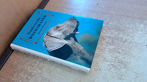 Guide to the Weimaraner