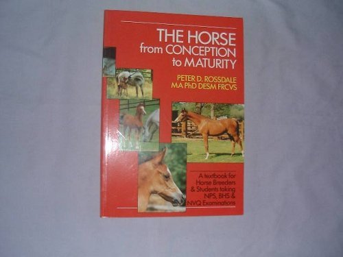 The Horse