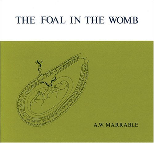The Foal in the Womb