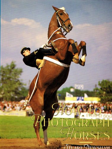 How to Photograph Horses