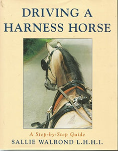 Driving a Harness Horse 