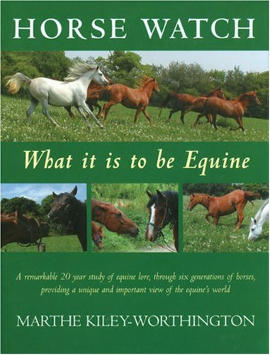 Horse Watch
