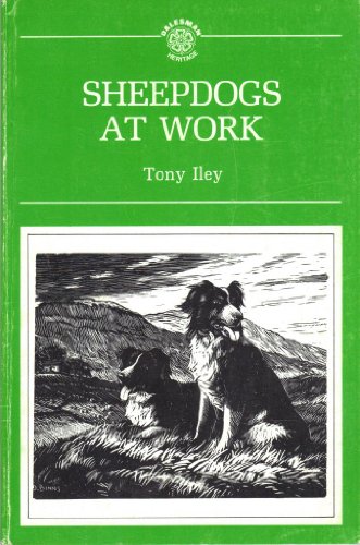 Sheepdogs at Work