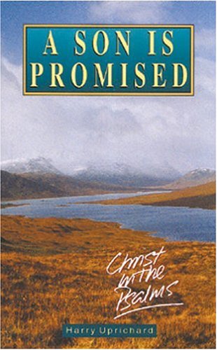 A Son is Promised