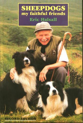 Sheepdogs